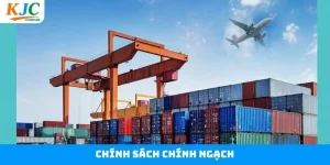 Chính Sách Chính Ngạch - Chìa Khóa Thành Công Xuất Khẩu Cùng KJC