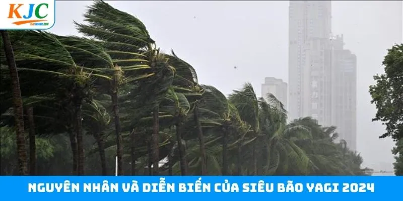 Tìm hiểu nguyên nhân và diễn biến của siêu bão Yagi 