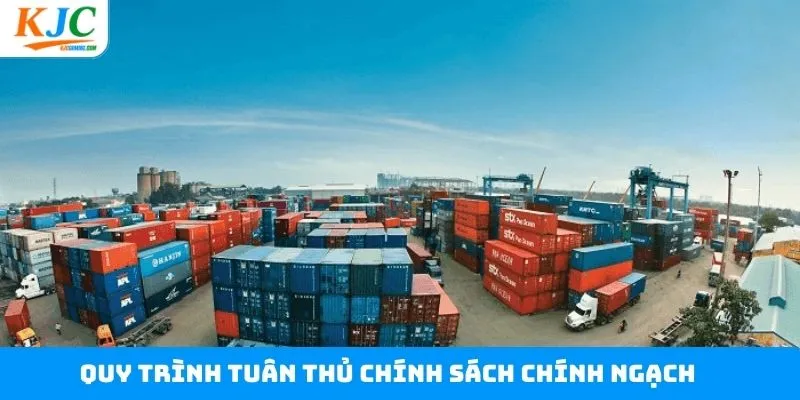Quy trình vận chuyển tuân thủ chính sách chính ngạch quốc tế